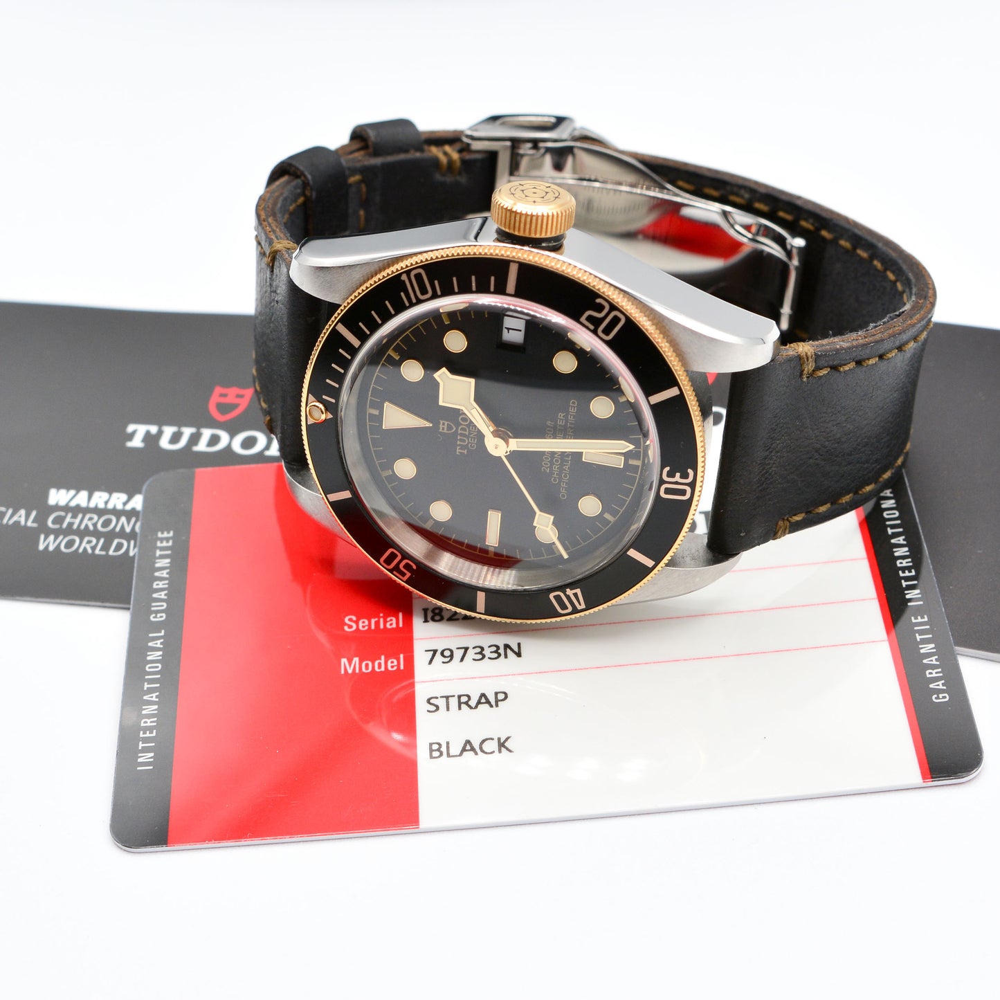 Tudor Black Bay79733N Watch c.2018 - 18k Gold Bezel - 41mm