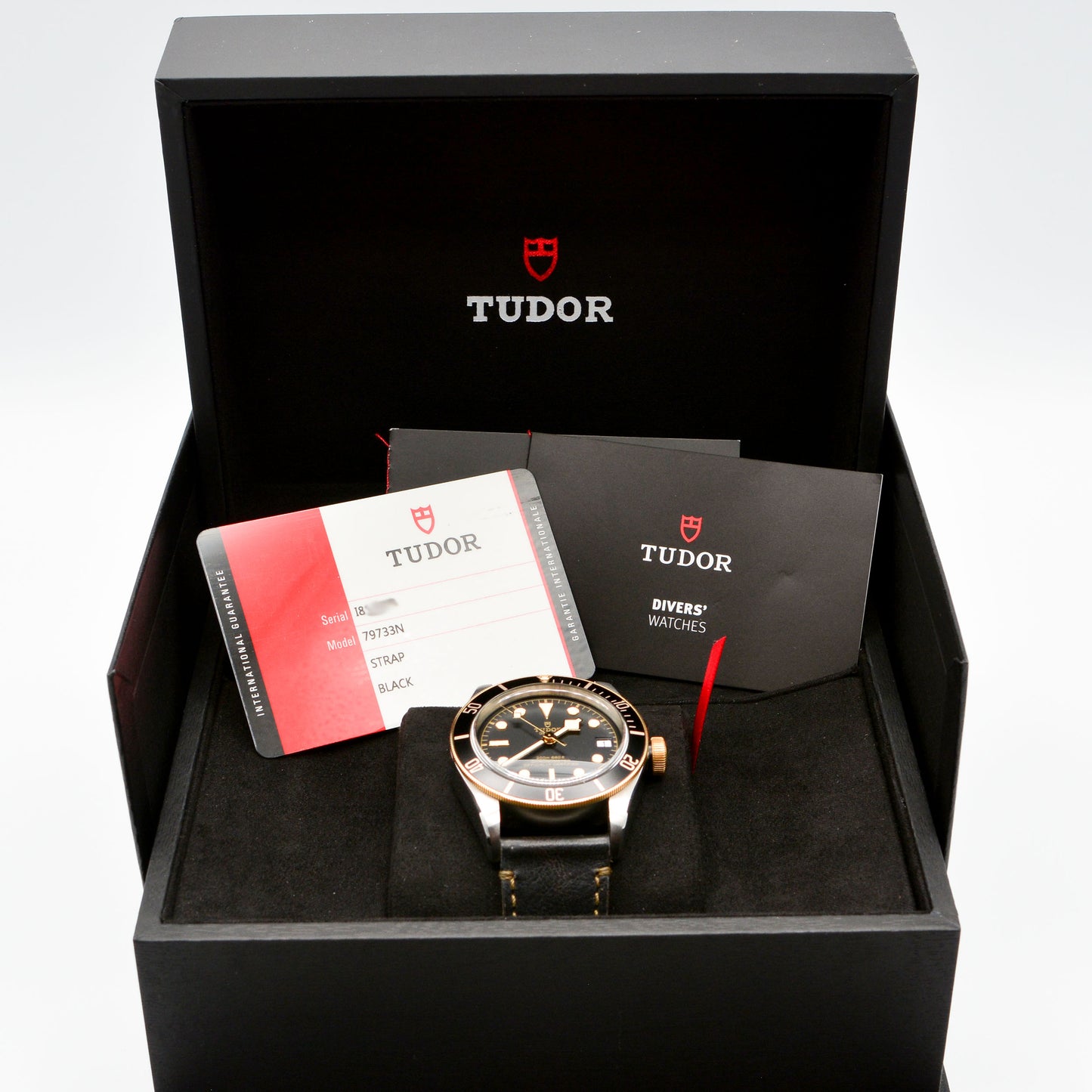 Tudor Black Bay79733N Watch c.2018 - 18k Gold Bezel - 41mm
